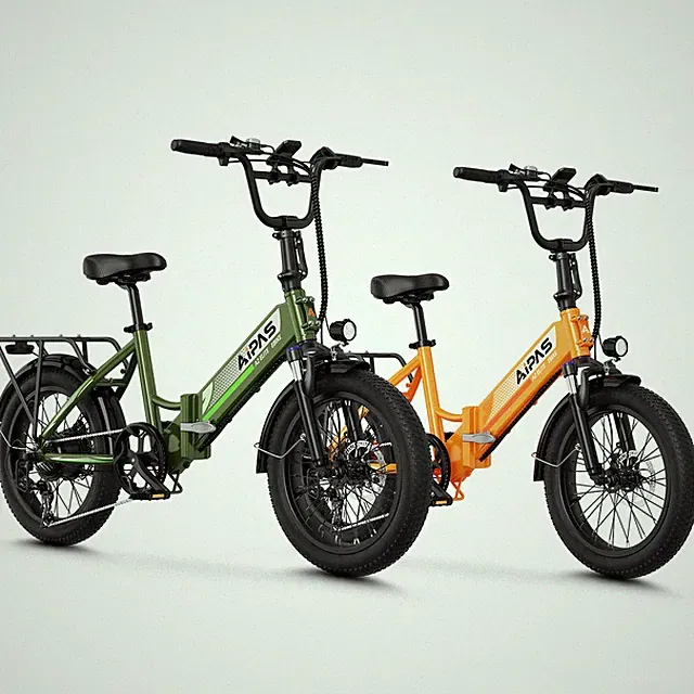 20''Fat tire 750W Peak 48V 12.8AH Electric Bike Bicycle Mountain bike for Adults