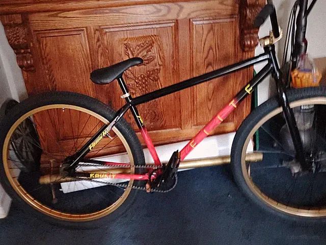 29 In Elite BMX Bike