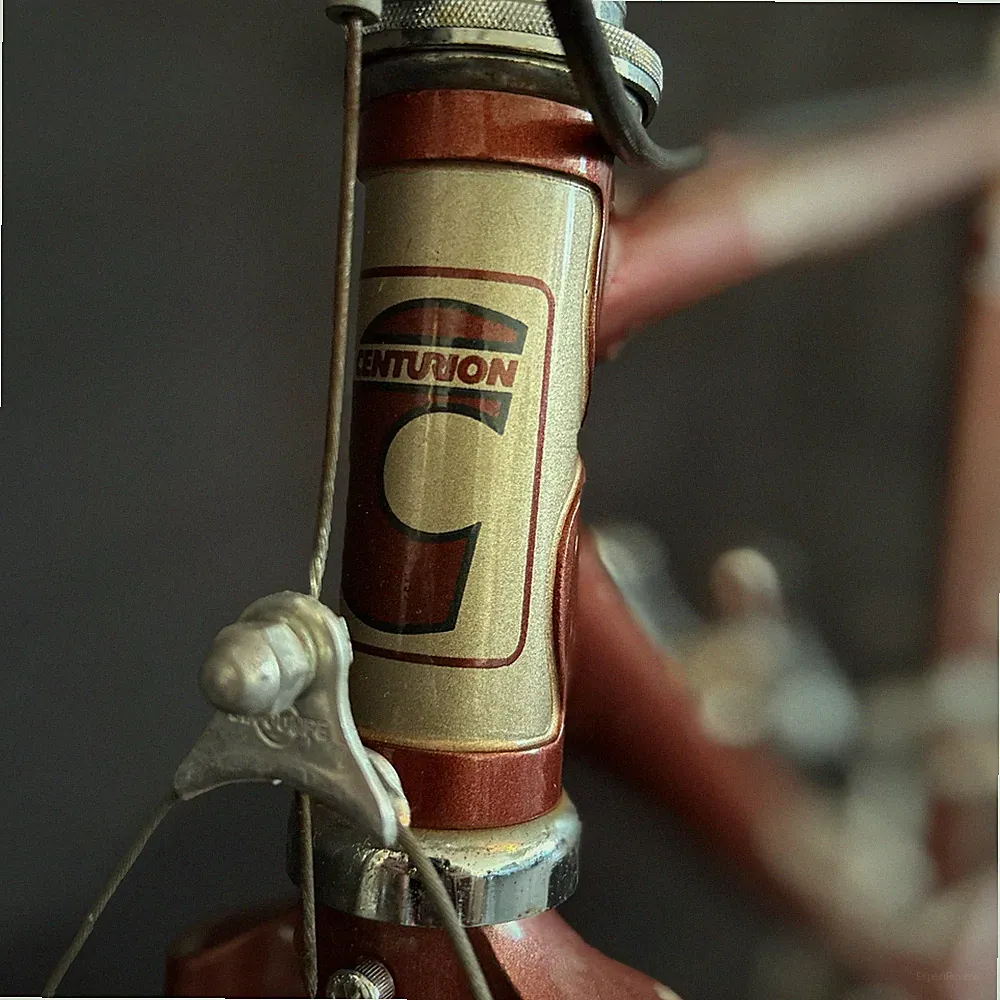 ELITE BICYCLES Touring Bike