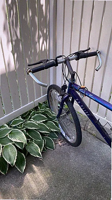F.S.E. Elite Canyon Ridge 26in Mountain Bike 18in Frame Purple Flat Bar
