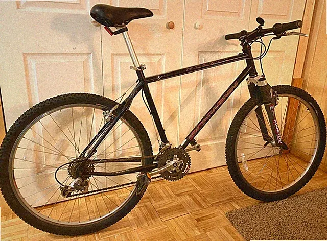 Medium Schwinn Moab Elite S 100 year anniversary, Plum, Research Dynamics